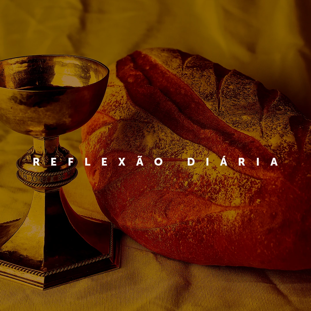 08/11/2021 à 14/11/2021