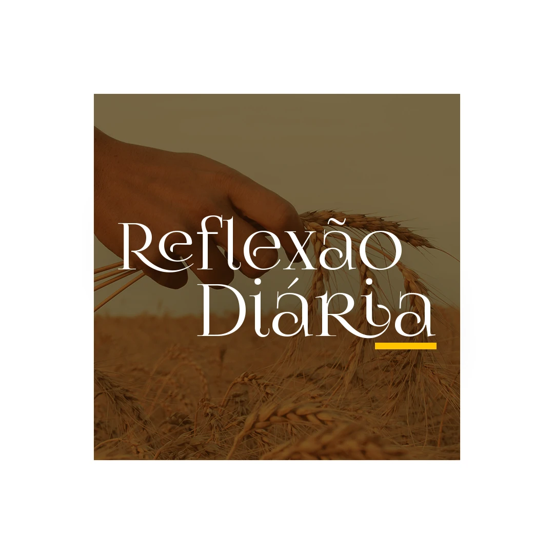 Reflexão Diária