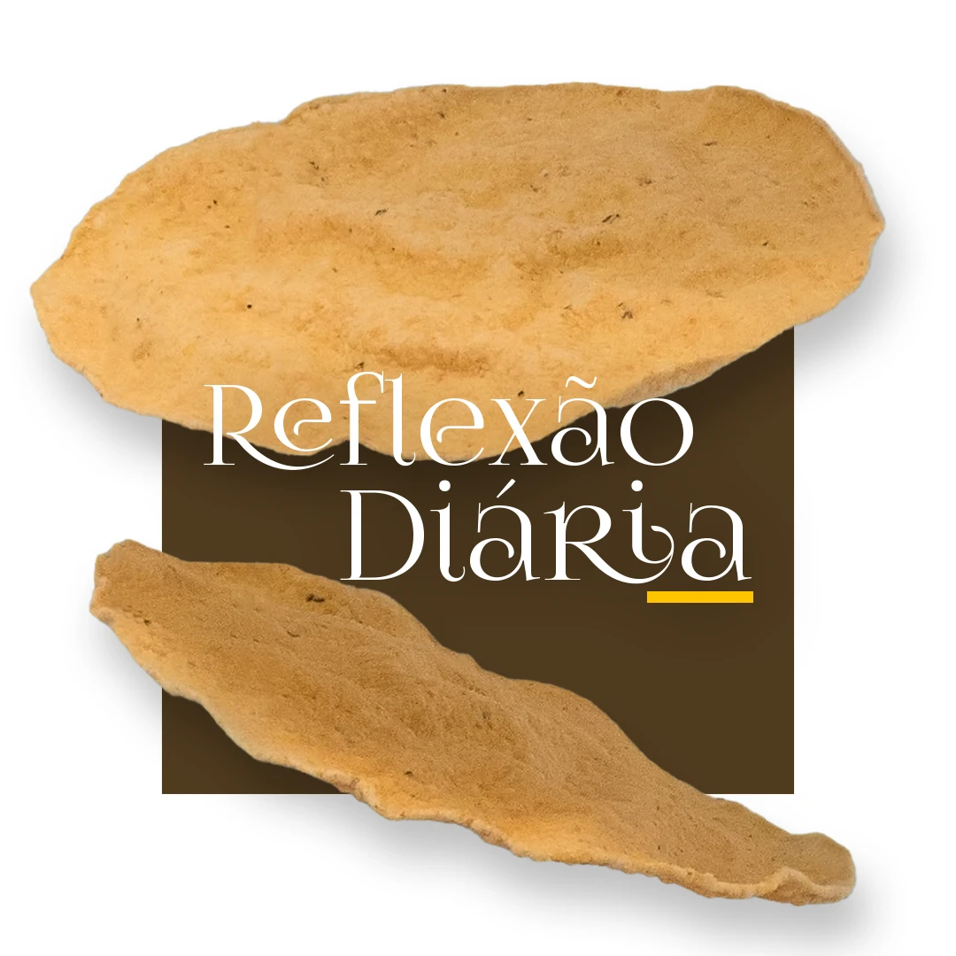 Reflexão Diária