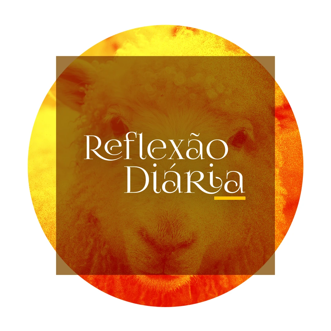 Reflexão Diária