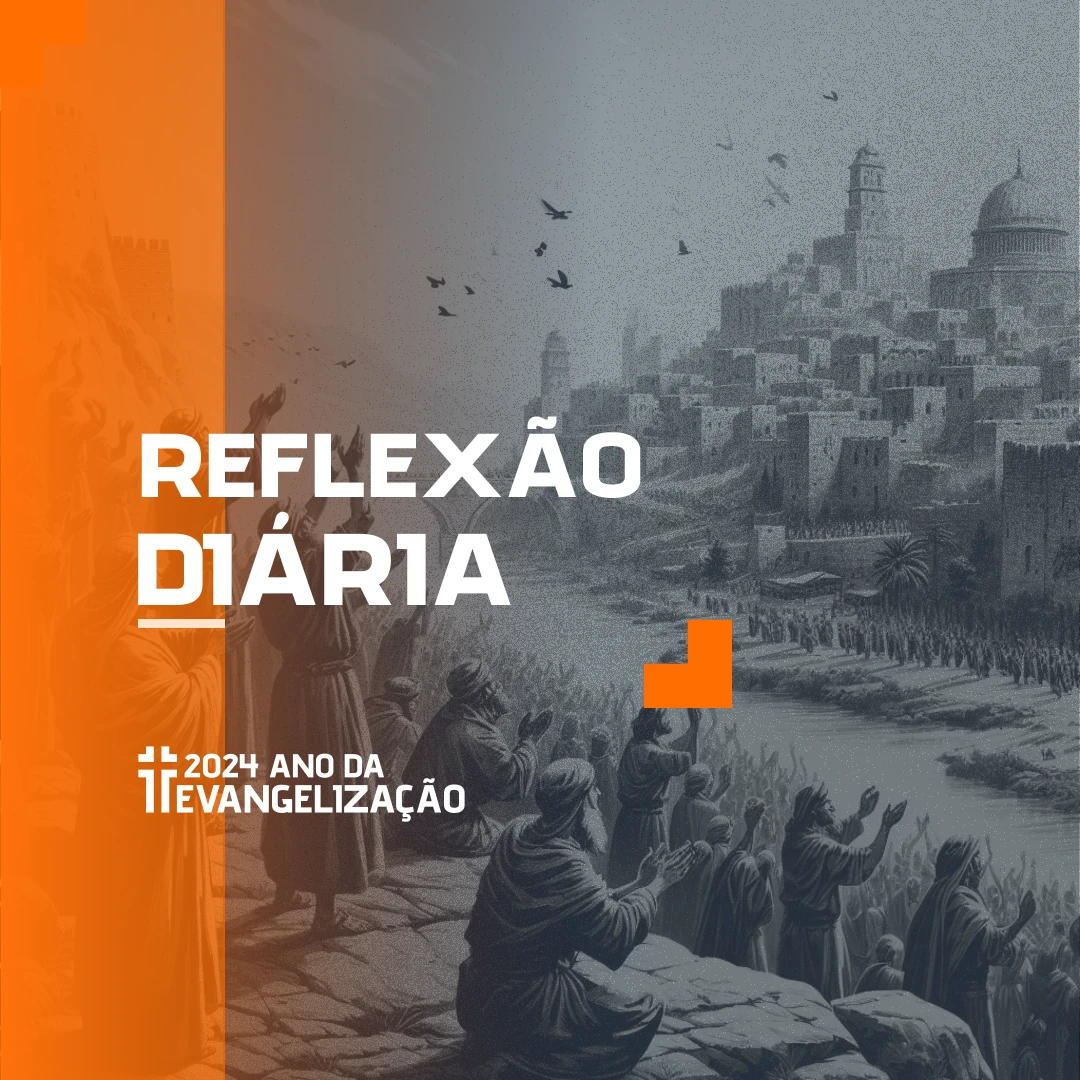 Reflexão Diária - 01-12-2024