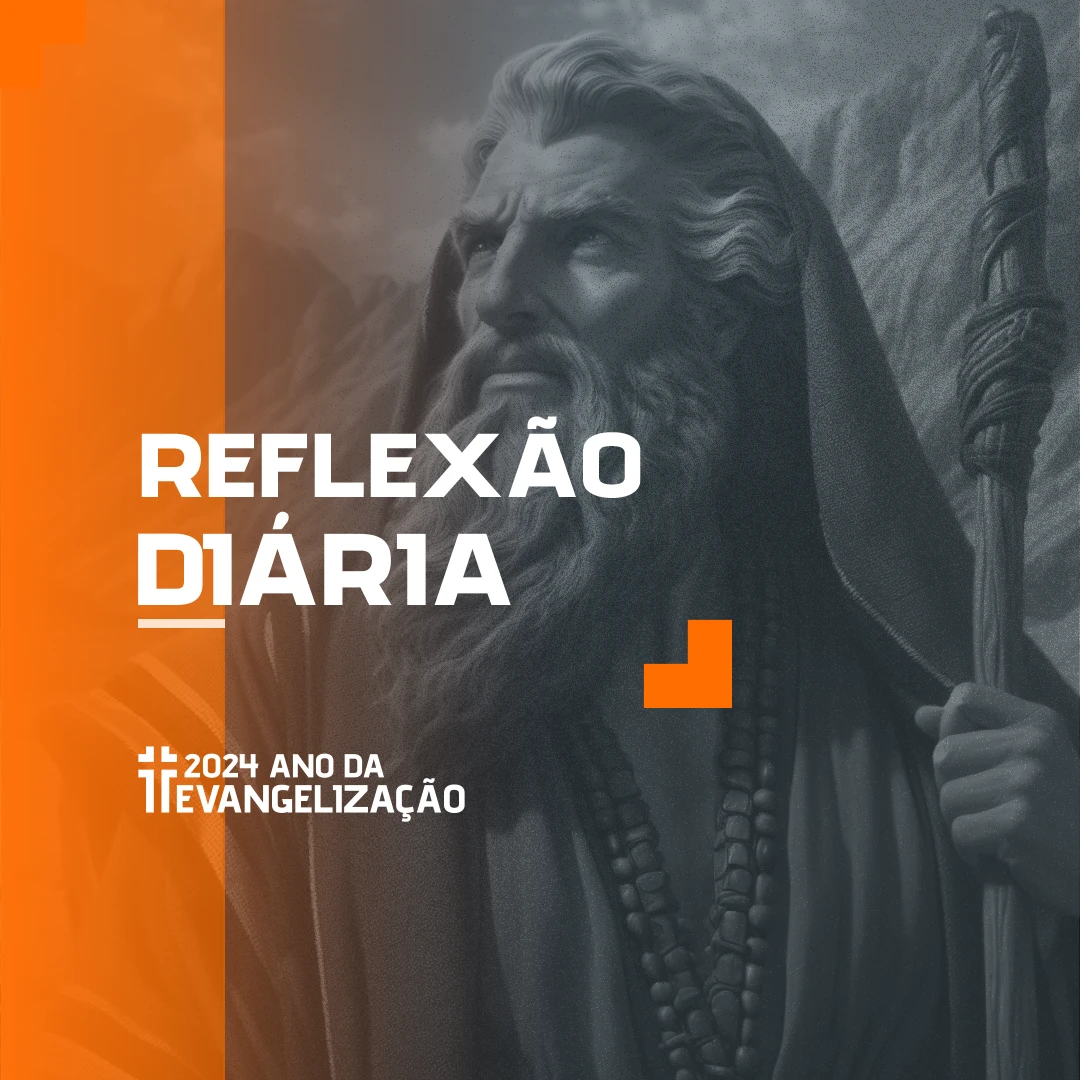 Reflexão Diária - 03-11-2024